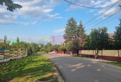 Se vinde teren 4200 mp in Teisori Giurgiu - 19