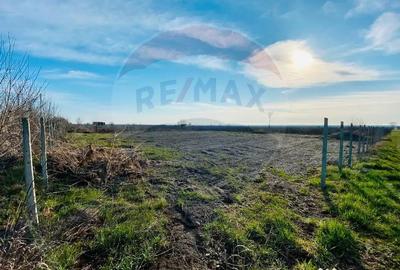 Teren de 2222 mp, în Urechești - 1