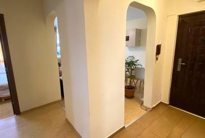 Apartament cu 3 camere decomandat în Craiovița Nouă - 3