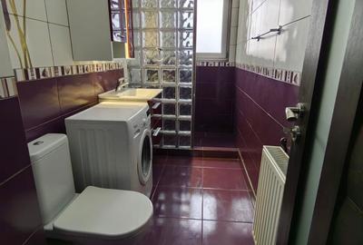 Garsonieră decomandată în Craiovița Nouă - 6