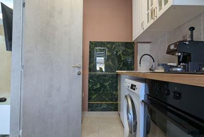 Apartament 3 camere, mobilat, utilat, imobil nou, Luica-Brancoveanu - 9