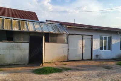 Inchiriez hala industriala Curtea de Arge? - 9