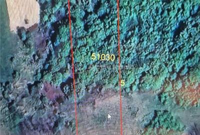 Teren de 3166 mp, în Tileagd - 9