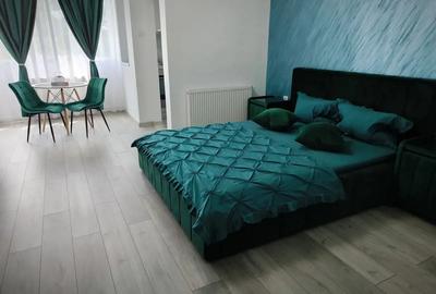 Regim hotelier apartament cu o camera - 1