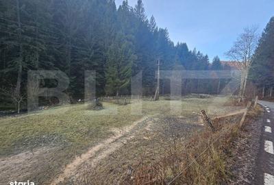 Teren de 10000 mp, în Roșia Montană - 1