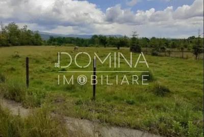 Vanzare teren 5000 mp, intravilan+extravilan, in comuna Crasna - 4