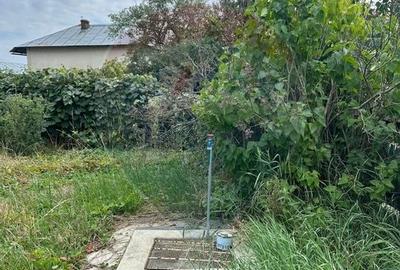 Teren intravilan 4.779 mp + casa si anexe - Girov, Neamt - 17