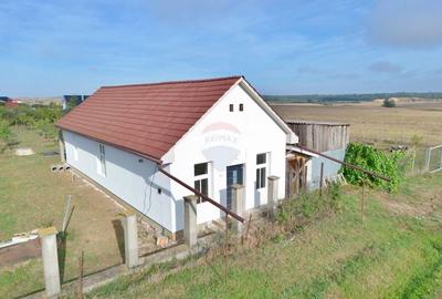 Casa cu 2 camere de vanzare loc. Frumuseni, jud. Arad - 12
