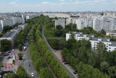 Ilioara, zona Camil Ressu, Parcul IOR, Sector 3, Bucuresti - 1
