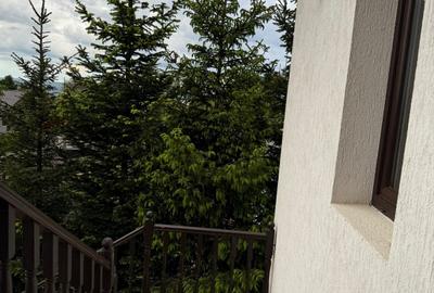 Vânzare pensiune completă – Bran, Sohodol | 0% comision | Exclusivitate - 10