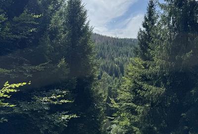 Spațiu comercial, în Mănăstirea Humorului - 3