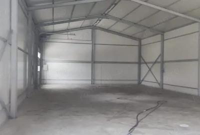 Hala noua Bragadiru 290 mp - 8