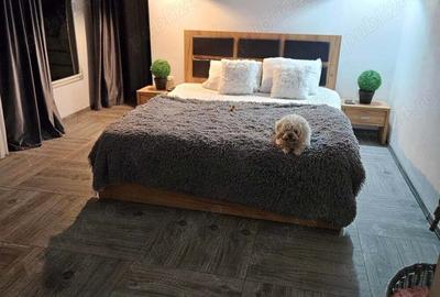 Casă cu 5 camere cu Teren 250 Mp în Central - 1