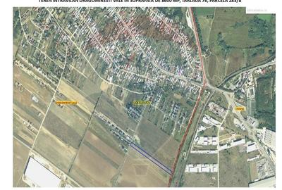 Teren intravilan de 8600 mp, în Dragomirești-Vale - 3