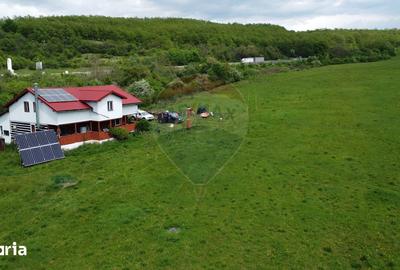 Casă cu 4 camere cu Teren 57600 Mp în Zimbor - 3