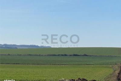 Spațiu comercial, în Tăut - 2