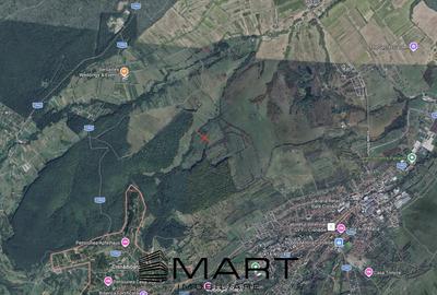Teren agricol extravilan de 21000 mp, în Cisnădie - 1