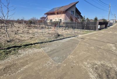 Teren de Vanzare in Gulia - Tartasesti | 2.760 mp | OPORTUNITATE! - 6