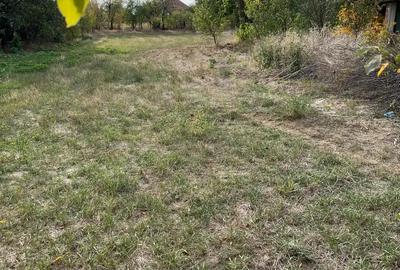 Casă cu 4 camere în Hodoni - 1