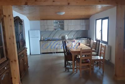 Cabana cu 3 dormitoare , Rasca - 2