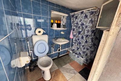 Duplex cu 5 camere în Brâncoveanu - 27