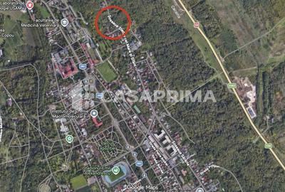 Spațiu comercial, în Copou