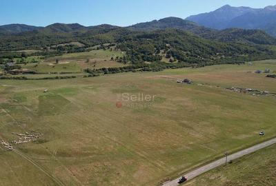 Teren extravilan Rasnov - 12