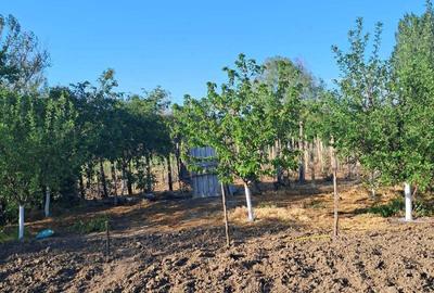 Casă cu 2 camere în Pleșoiu - 3