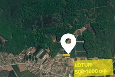 Loturi de teren la padure | 500-1000mp | Izvorani- Snagov