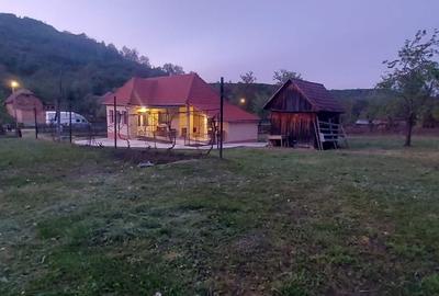 Casă cu 3 camere cu Teren 5000 Mp în Livezeni - 6