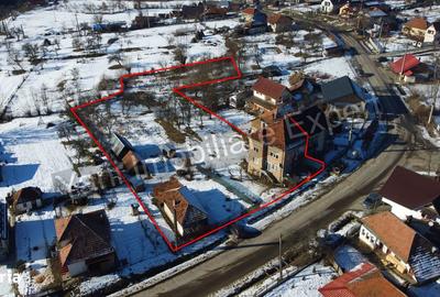 Casă cu 3 camere cu Teren 3877 Mp în Valea Danului - 8