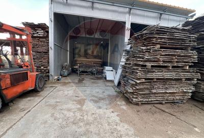 Spațiu industrial, de 7,756 mp, în Cerăt - 18