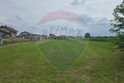 Teren de 1791 mp, în Vest - 4