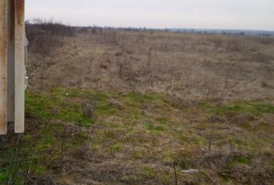 5550 m2 teren constructii la 7 km de Targoviste cu 1.6 e Dragomiresti - 3