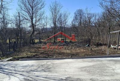 Spațiu comercial, în Cornu - 4