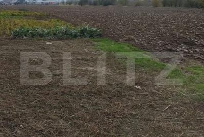 Teren Construcții extravilan de 3000 mp, în Ișalnița - 1