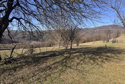 Spațiu comercial, în Negreni - 2