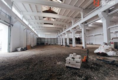 Spațiu industrial, de 2,200 mp, în Șagului - 5