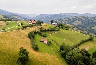 Oaza de liniste si frumusete, reconectare cu natura,16.000 mp+constructie, Poian - 3