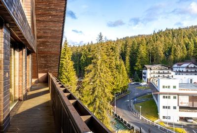 Penthouse spectaculos in  zona partiei Clabucet , Predeal, Brasov - 19