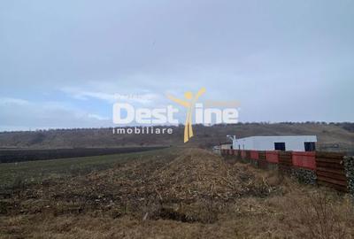 Spațiu comercial, în Căciulești - 3