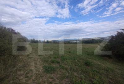 Teren extravilan in suprafata de 35 de ari, zona Beclenut, i - 4