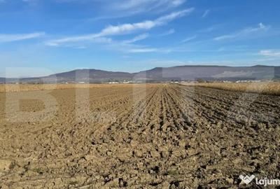 Teren de 5300 mp, în Arcalia - 2