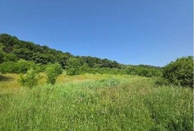 Teren Duda Epureni, ID: R2609594 - 3