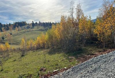 Teren in Cala?ele Padure 4488mp - 2