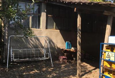 Casă cu 3 camere în Comloșu Mare - 9