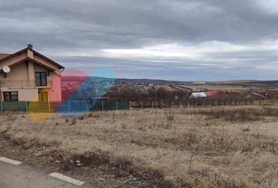 Teren 4000 mp in Tureni - 2