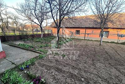 Casă individuală cu 11 camere cu Canalizare în Satchinez - 2