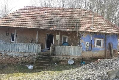 Vand casa ?araneasca din lemn. - 6