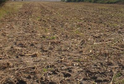 Spațiu comercial, în Central - 2